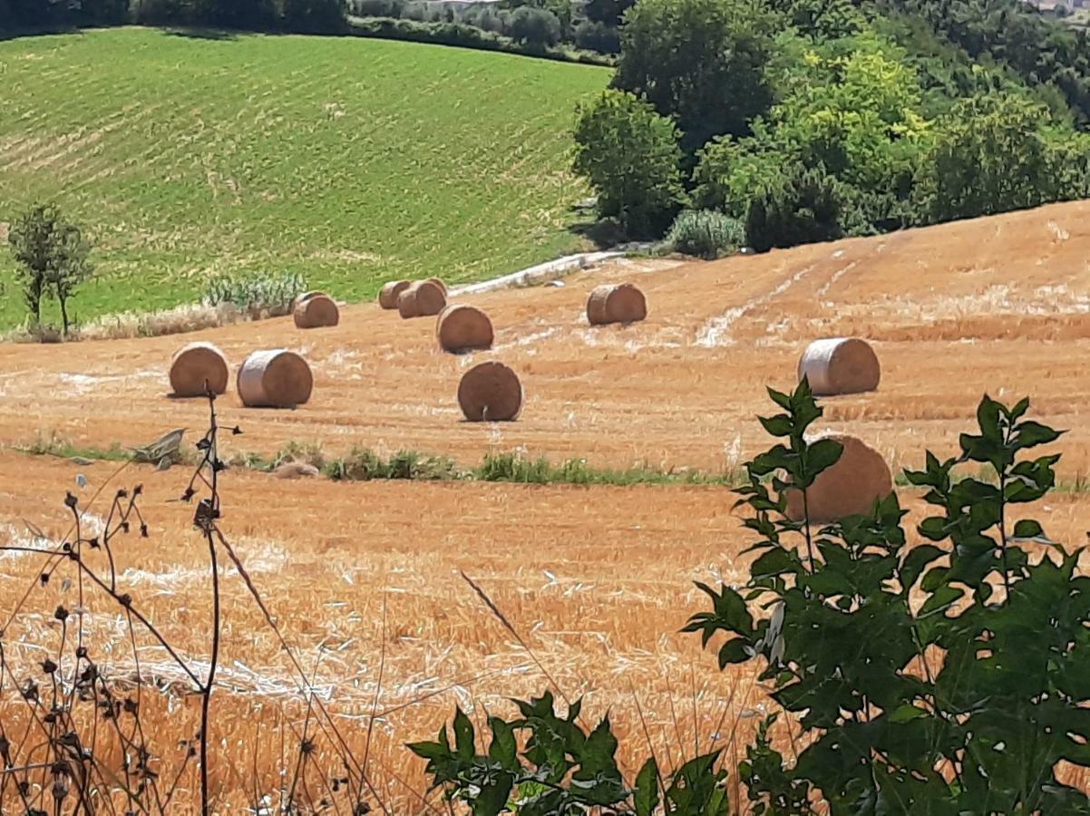 Villa Pacchini Poggio Mirteto ภายนอก รูปภาพ